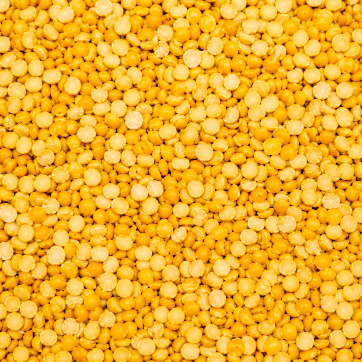 శనగపప్పు | Chana Dal