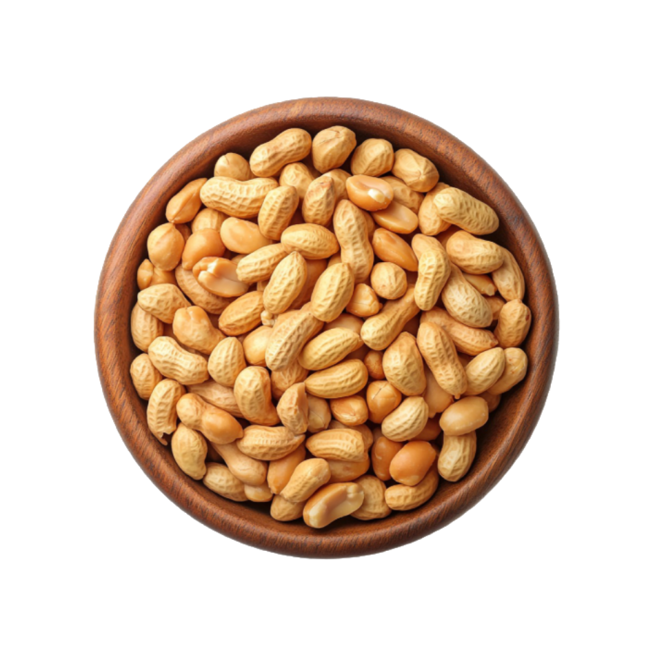 Groundnuts